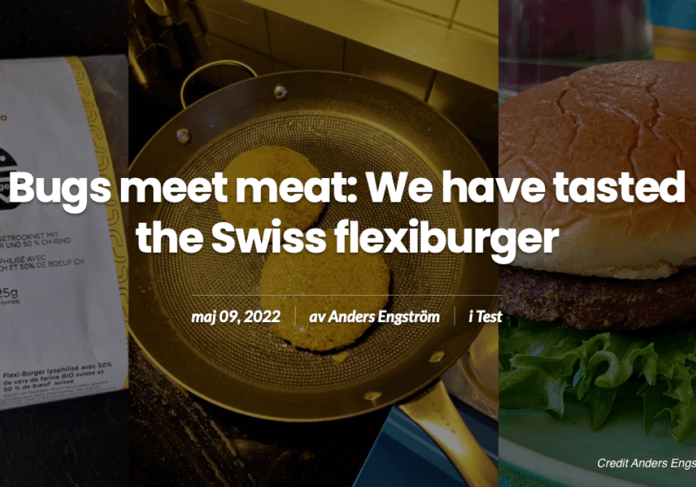 Anders de BugBurger en Suède a testé le flexi-burger d'Entomos : voici ce qu'il en dit !